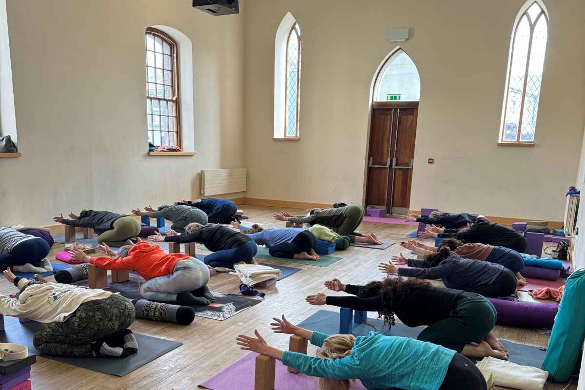 dublin iyengar yoga workshop april 2025