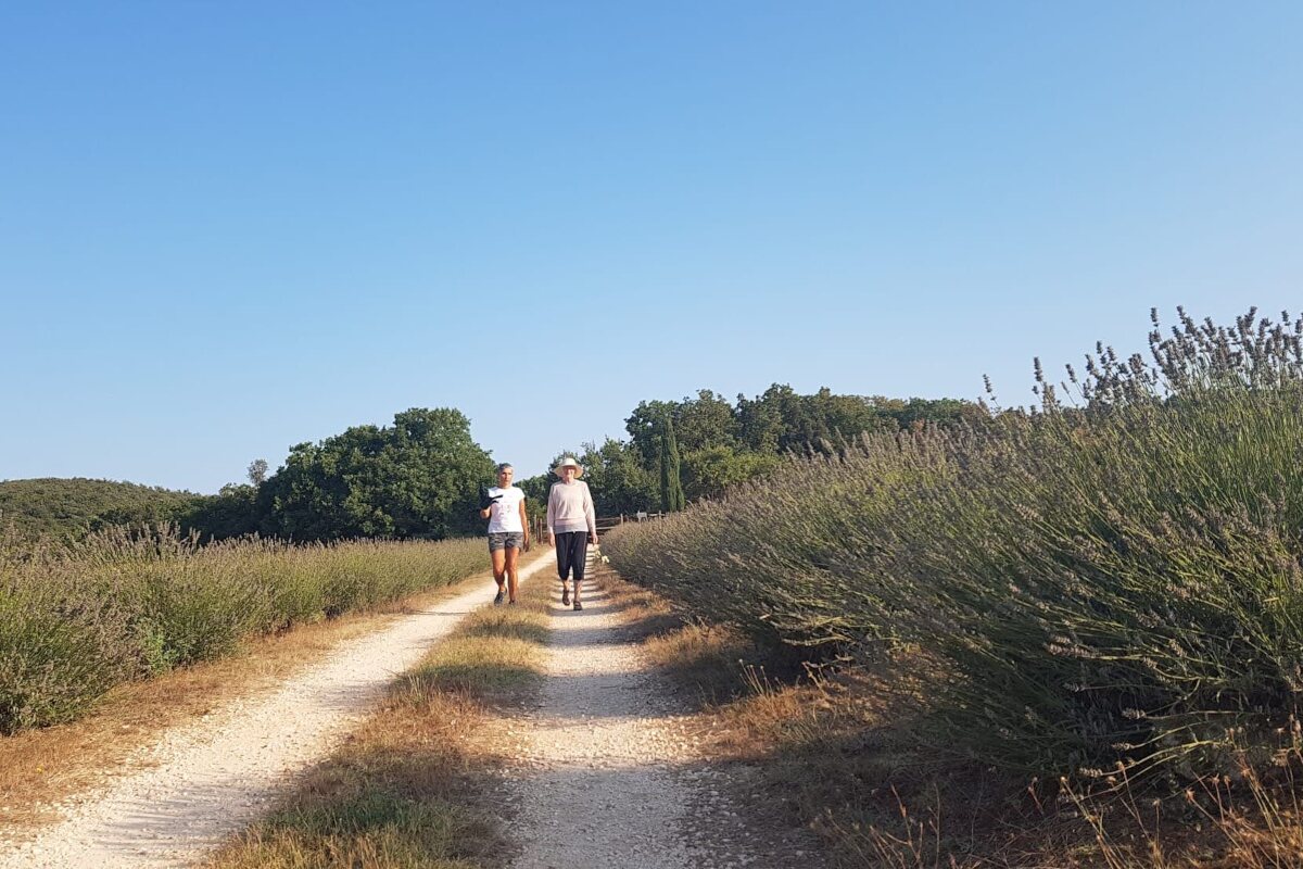 passeggiata campagna umbria detox yoga